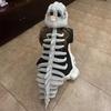 Realistic Dinosaur Skeleton Costume Set Adult Dinosaur Skull Headpiece And Spine Attachment 3D Halloween Cosplay Outfit
