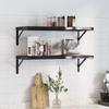 VidaXL Wall Shelves 2 Pcs 75x30 Cm Black Stainless Steel, Floating Shelf, Wall Display Shelf, Panel 3214515