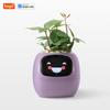 Purple Tuya Ivy Smart Planter,Endless Fun Over 49 Rich Expressions,7 Smart Sensors and AI Chips Make Raising Plants Easy and Fun