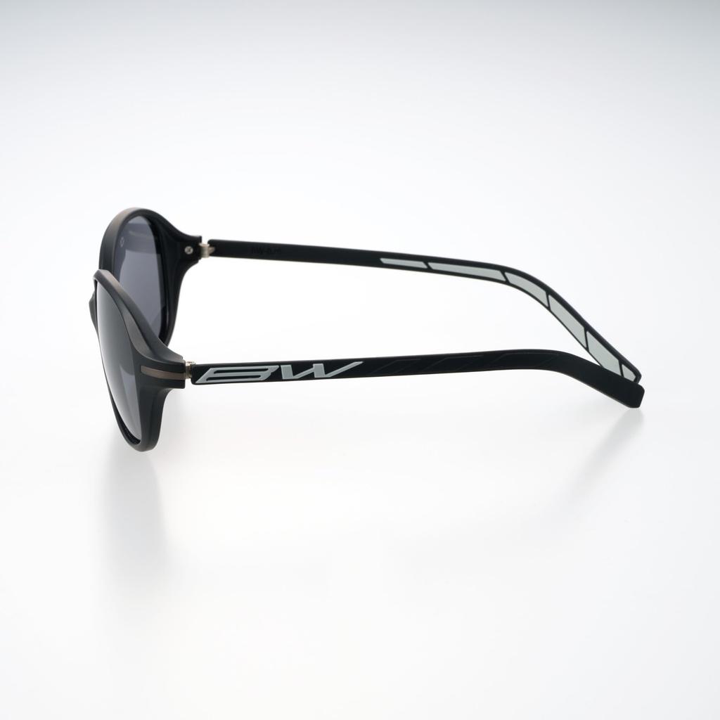 Bunny Walk Polarized Sunglasses Matte SMOKE [BUNNY WALK] BW-029 BW-0290F Black/Black