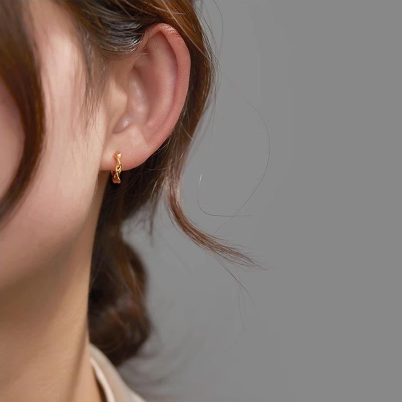 S925 Sterling Silver Hoop Earrings, Women's High-End Niche Stud Earrings, Trendy Plain Hoops