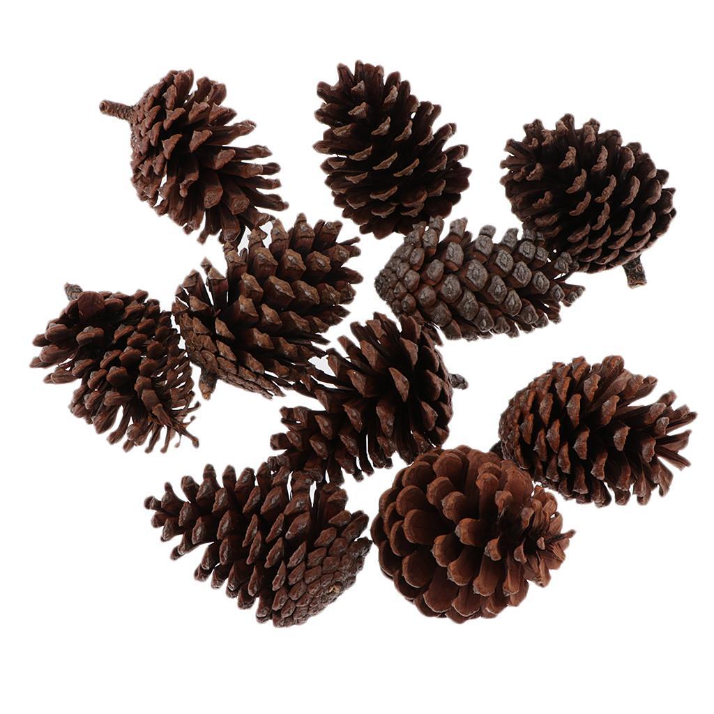 10pcs Pine Cones Baubles Hanging Christmas Tree Holiday Decoration A 6-8CM