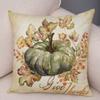 Color Watercolor Pumpkin Pillowcase Super Soft Polyester Decorative Plant Cactus Cushion Cover Suitable for Car Sofa Pillowcase