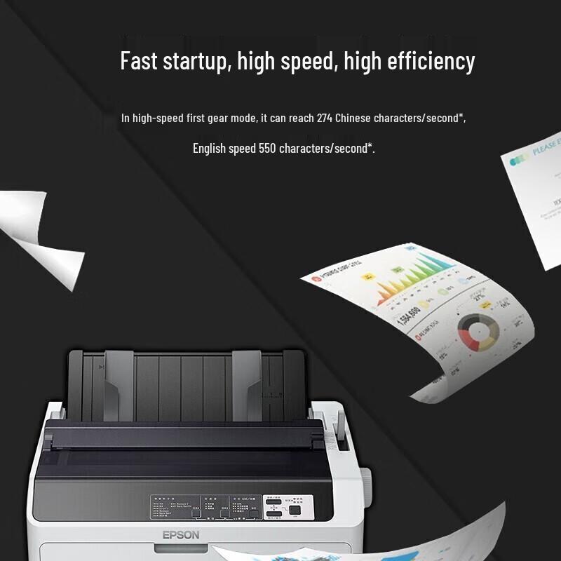 Epson Dot Matrix Printers CN plug (adapter included)