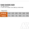 Nike Пальто женское Royal 2 Next Nature Dh3159 100