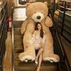 100см-200см Американский Гигантский Плюшевый Мишка Мягкая Шкура Мишки Популярный Подарок на День Рождения и День Святого Валентина Для Девочек Детская Игрушка