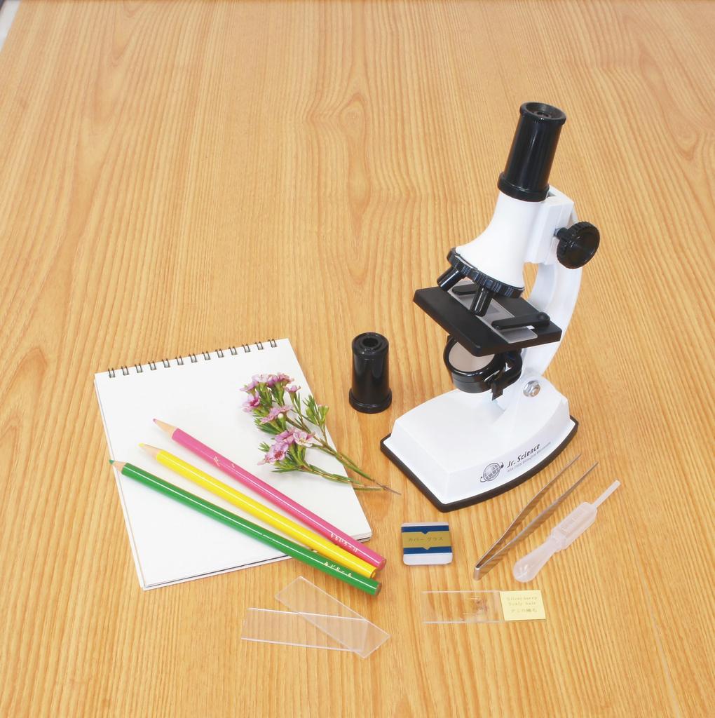 Standard Microscope Set 40x 750x Educational Microscope for and High School Birthday Graduation Independent Made In Japan SO80114, - Magnification,