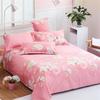 Thickened Student Dormitory One-Piece Printing Bed Sheet Brushed Bed Sheet