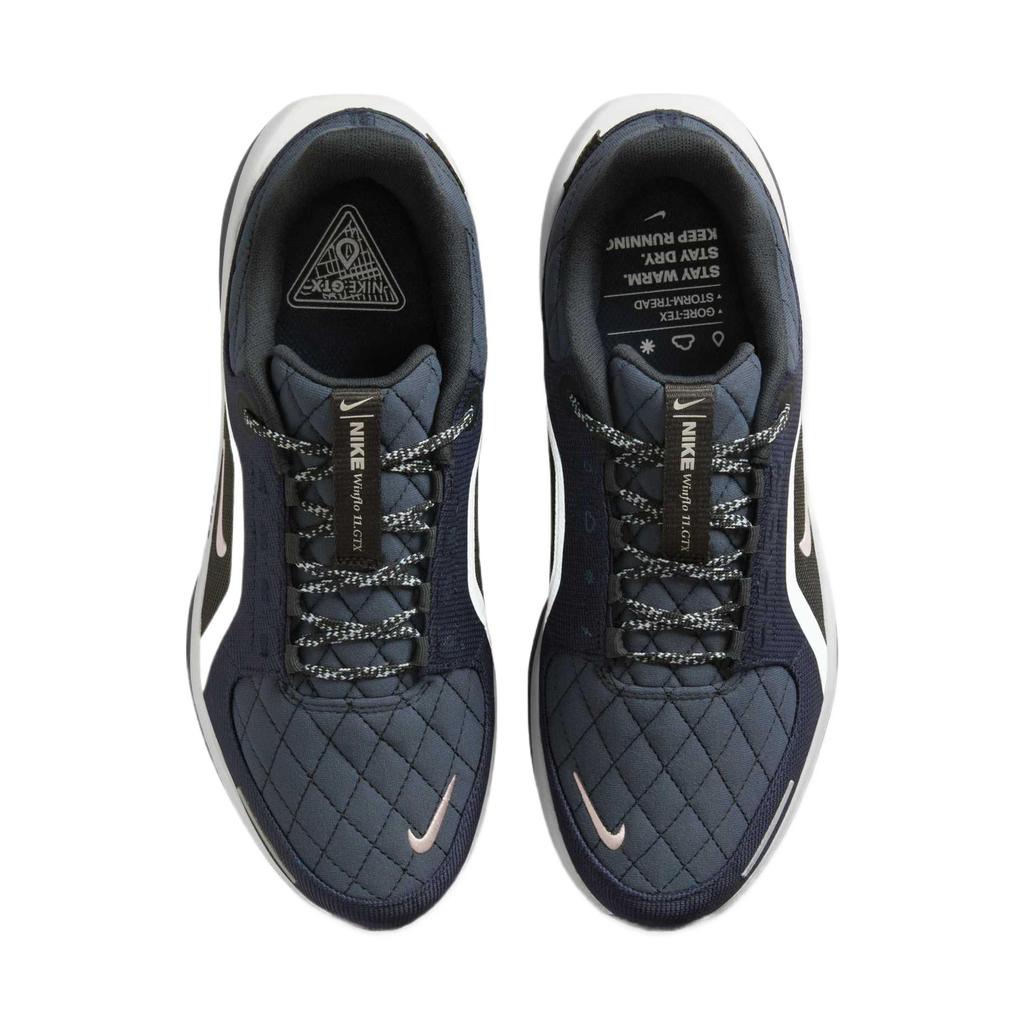 Nike Женские Winflo 11 GORE-TEX Темный обсидиан Чистый платиновый FQ1359-400