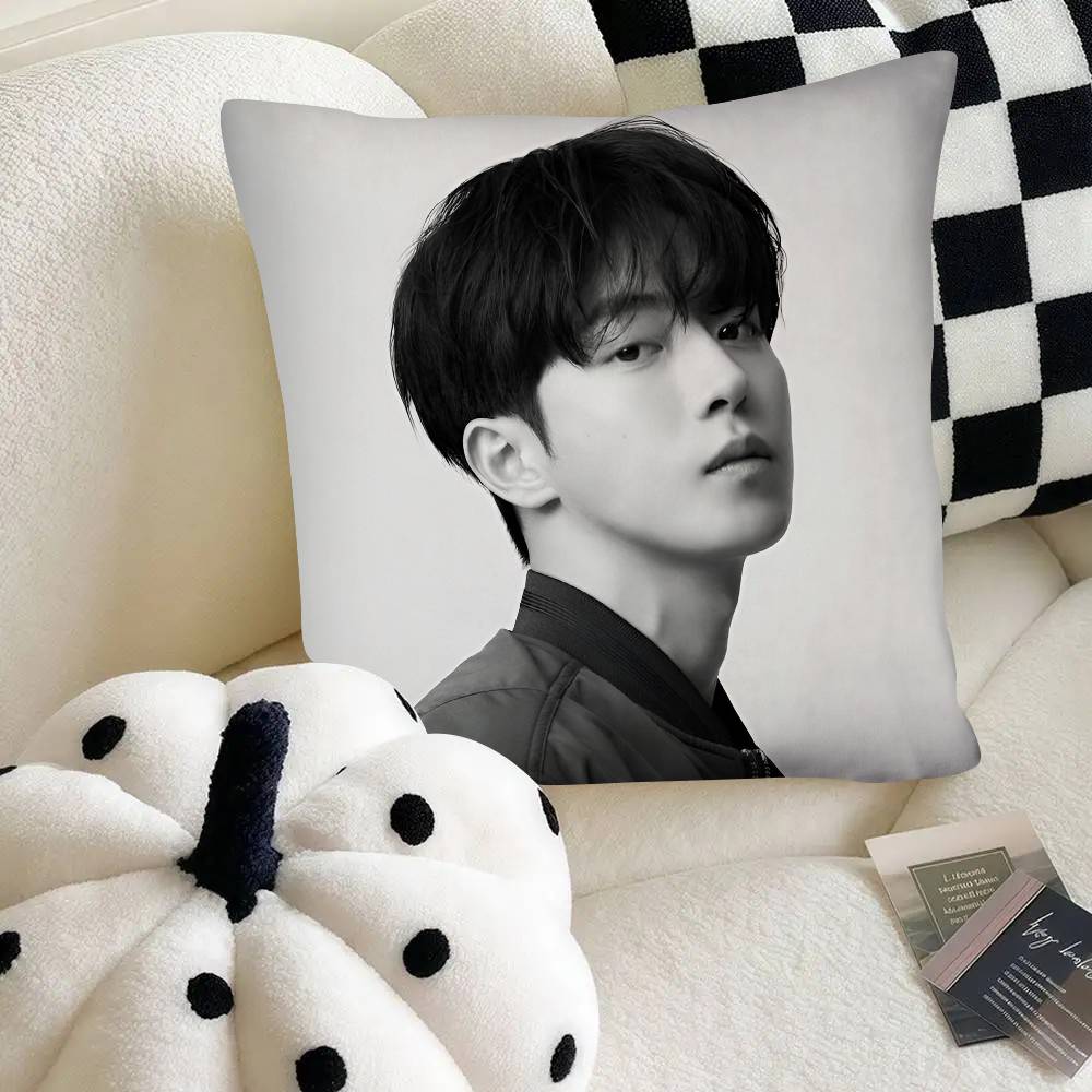 Nam Joohyuk Pillow Case Fashion Square Pillowcase Bedroom Sofa Room Ins Decoration Leisure