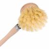 Redecker Kitchen Brush with Handle/Plant Fiber, Small (Plant Fiber Bristles)