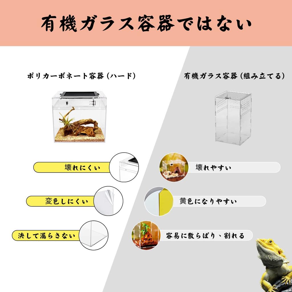 Клетка для рептилий из поликарбоната для маленьких рептилий Прозрачная клетка для рептилий Контейнер для разведения мелких животных Черепаха Аквариум для черепах Разведение амфибий