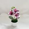Multi-Bloom Simulated Butterfly Orchid White Flower Pot Plastic Fake Flower  Home Decor