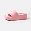 Platform Women Slippers Summer Outside Thick Sole Slippers Slope Heel Slippers Women Sandals Plastic Sandal Dames Muiltjes