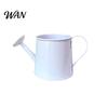 Metal Watering Can Mini Vintage Pot with Long Spout Small for Indoor Plants Home Decoration Wide Inlet