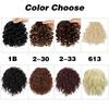 LISI HAIR 2 шт. синтетические короткие заколки с вьющимися челками и свободные короткие волнистые вьющиеся завязки конский хвост для женщин на каждый день