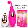Vagina Clitoris Vibrator Panties Vibrating Egg Wearable Dildo Sex Toy Massage with Wireless Remote Control for Adults Women Men
