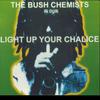 LP Запись BUSH CHEMISTS - Light Up Your Chalice PRTLLP011 Частичная 1999 Великобритания Регги, Ска и Даб