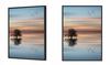 Picture poster In a frame 43x33 cm Tree P939