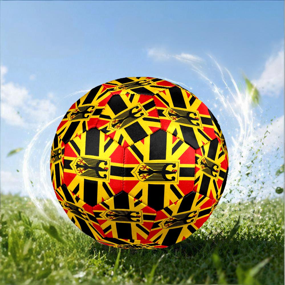 Eagle Emblem Of Germany Size 5 Soccer Ball,Indoor/Outdoor Suitable for Training Matches Tournaments Practice Games Perfect Gift for Fan