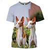 Ibizan Hound Dogs Охотничья 3D футболка мужская и женская подростковая 6XL Podenco Ibecenco Dog летняя футболка в стиле Харадзюку с короткими рукавами