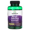 Mega Tribulus Extract, 250 Mg, 120 Capsules