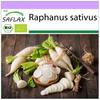 Organic - Редис - Длинная белая сосулька - 100 семян - Raphanus sativus