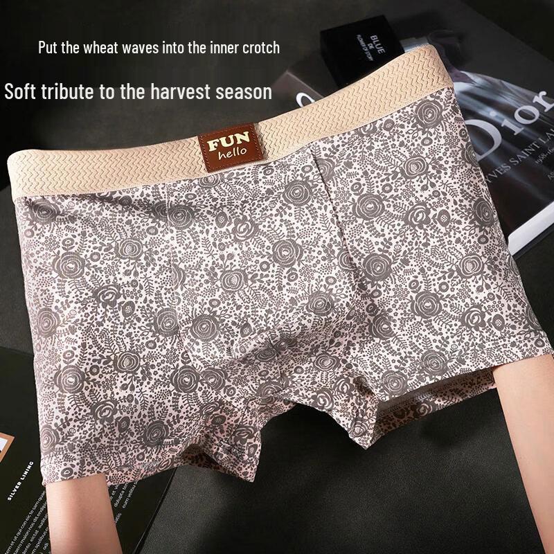 Мужское классическое антибактериальное нижнее белье из модала с хлопком, 3 штуки