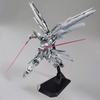 MG Gundam Base Limited Freedom Gundam Silver Coating Mobile Suit Gundam SEED 1/100 Ver.2.0