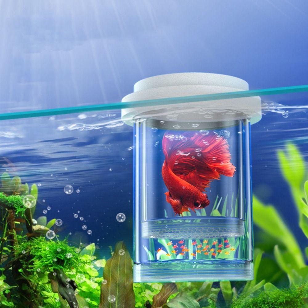 Fine/Coarse Mesh Floating Hatching Box Single Layer Guppy Breeding Box For Aquarium