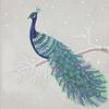 Crystal Art Diamond Painting Card - Peacock - 18 X 18 Cm