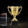 Золотые трофеи, школьные награды, детские пластиковые трофеи, игрушки для детей, реквизит для вечеринок, награды, выигрышные призы