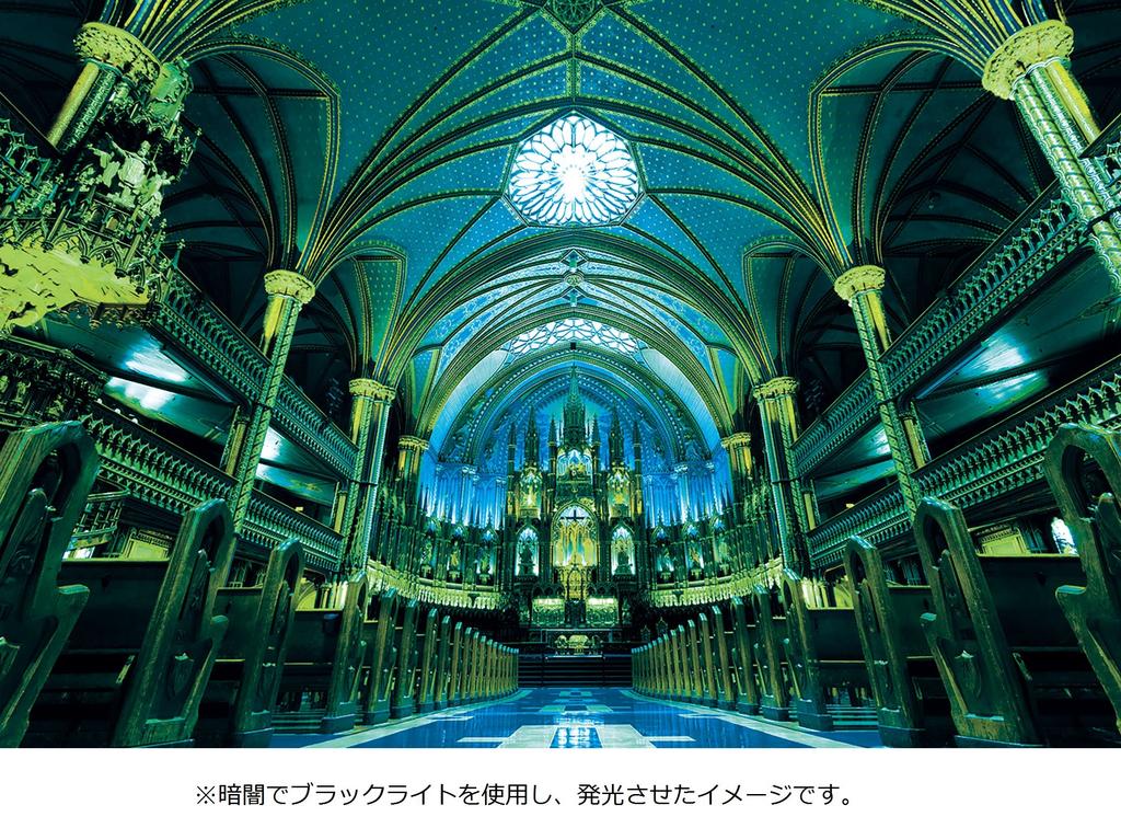 1000-Piece Illuminated Jigsaw Puzzle: Become a Puzzle Master Shining Notre Dame Cathedral - Canada (50x75cm)