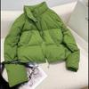 Luxurious and Stylish Green Cotton Jacket with Stand Collar for Women In Winter