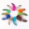 50Pcs Pearl Chicken Feather, Yiwu Feather Diy Feather, Decorative Feather