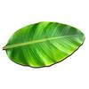 Realistic 3D Leaf Rug Irregular Leaf Shaped Floor Mat Anti Slip Green Leaf Doormat for Bathroom
