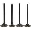 Intake Exhaust Valve Kit for Honda TRX450R 2006-2009 TRX450ER 2006-2014 CRF450R 2007-2008