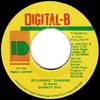 7inch Record GARNETT SILK - Splashing * Dashing NONE Digital-B 1994 Jamaica Reggae, Ska & Dub Used