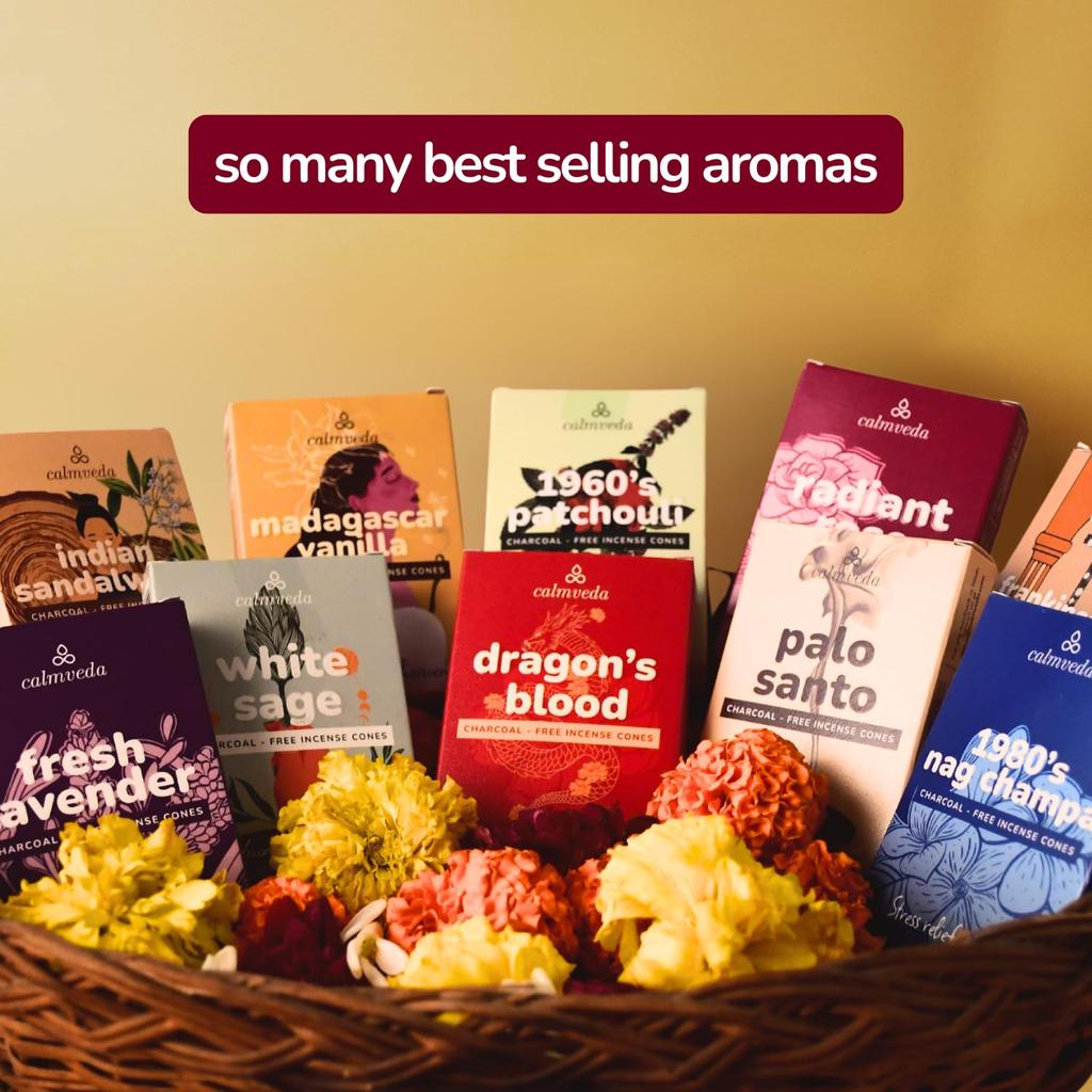 CALMVEDA Organic Incense Cones Scented - 120 Cone Incenses, 10 Variants with Holder