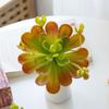 Fleshy Artificial Succulent Plant Lifelike Real Touch Fake Cactus Plastic Realistic Simulation Bonsai Plant Balcony Decoration