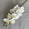8-Head Arrangement Artificial Butterfly Orchid Velvet Texture Fake Phalaenopsis  Wedding Hall