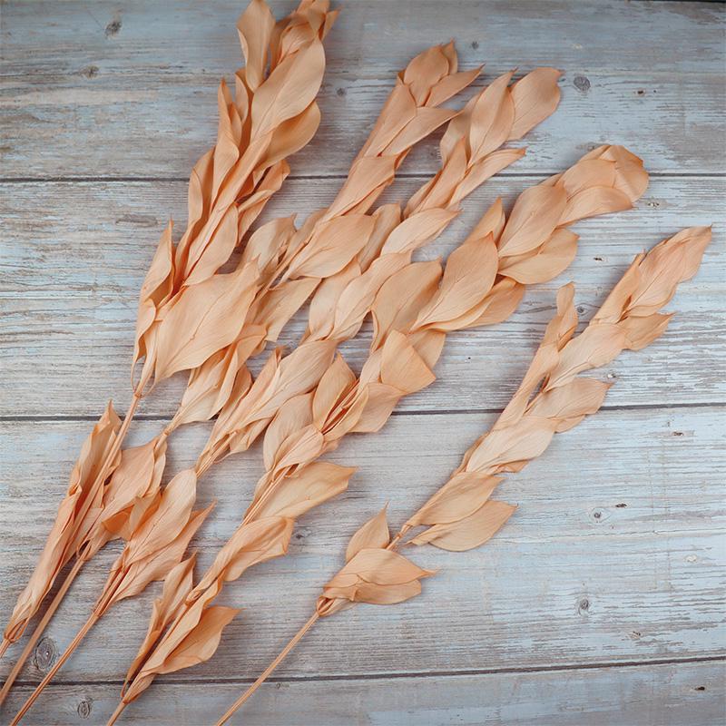 DIY Floral Art Ornament: Preserved Tangerine & Fishtail Leaf, Lily, Bamboo Dried Flowers – Ikebana Photo Prop for Home Décor.