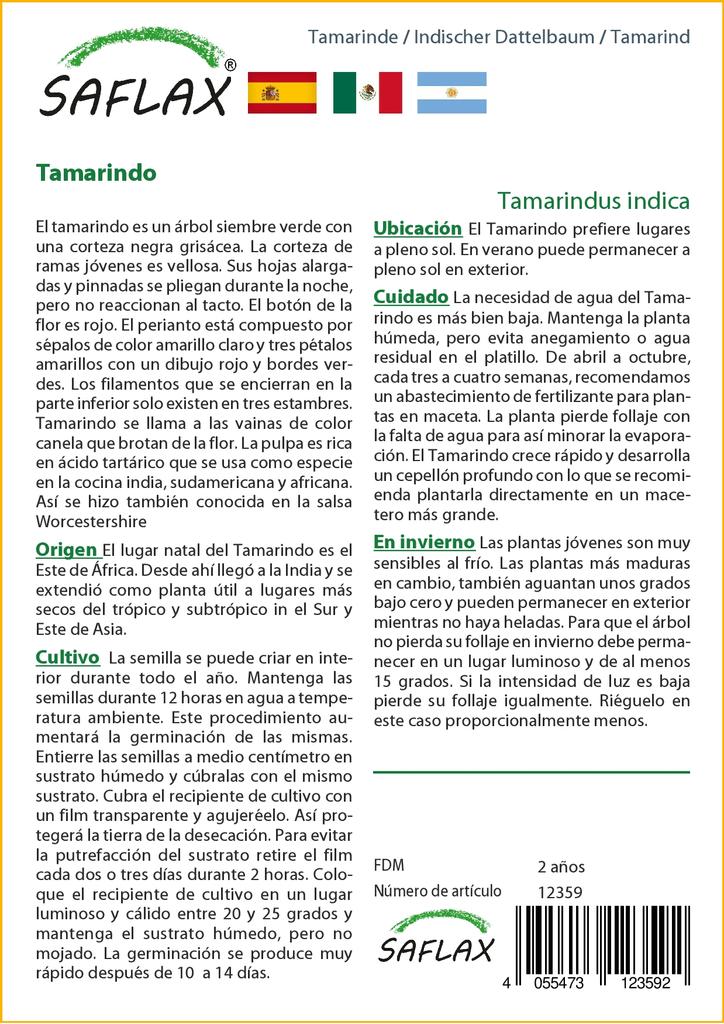 SAFLAX Подарочный набор - Тамаринд - 4 семени - С подарочной коробкой, карточкой, этикеткой и субстратом для горшков - Tamarindus indica