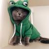 Одежда для косплея для собак, зимняя теплая одежда для щенков, одежда для собак, костюм для милой собаки, толстовки с капюшоном для собак, одежда для бульдогов, чихуахуа