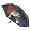 Santos Folding Gorgeous Sakura For Rain or Includes Umbrella, Series, Tiger, 55cm, Shine, Pouch, JK-166-01