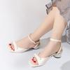 Bow Open-toed Medium-high Heel Roman Shoes Fairy Wind Buckle Strap Sandals Female Thick Heel 2025 Summer New