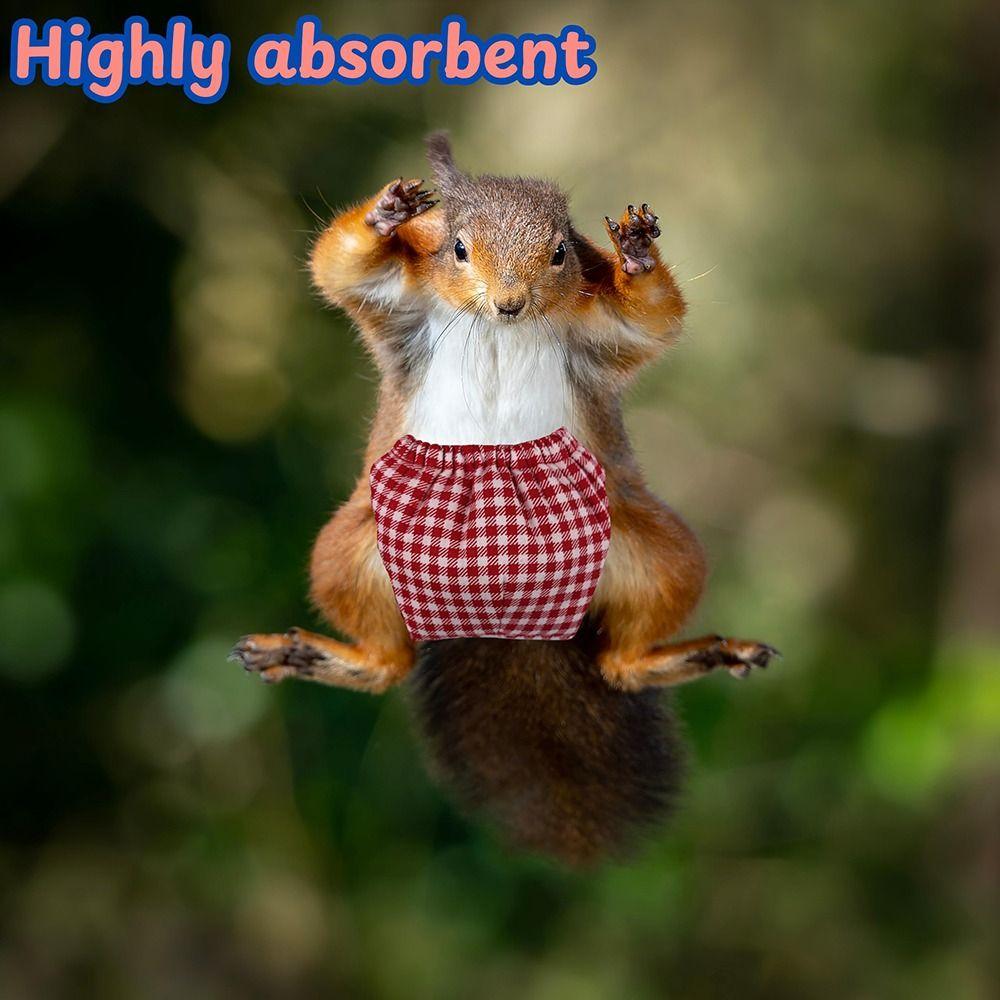 Absorbent Pet Training Pants Flexible Closure Squirrel Underwear Squirrel Diapers Groundhogs