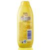 Rejoice Nourishing & Smoothing Shampoo