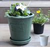 Yawata Kasei Eco PotЦветочный горшок круглый №. 4 Белый ``Hachiman gardenspapier''