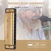 Key of C Diatonic Harmonica Mouthorgan with ABS Reeds Mirror Surface Design 10 Holes Blues